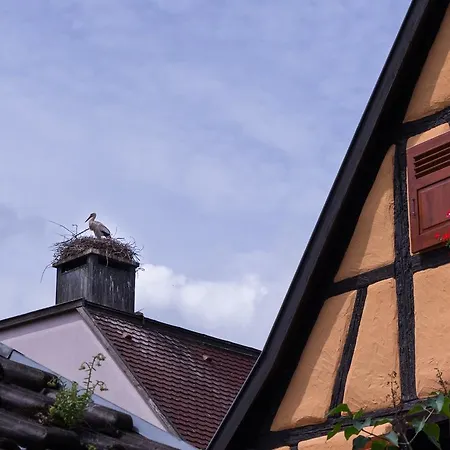 La Legende Des 2 Pierres Apartamento Eguisheim Exterior foto