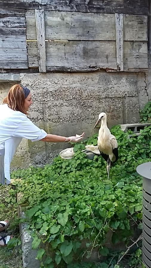 La Légende Des 2 Pierres *